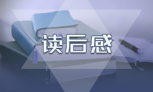 追风筝的人1000字读书心得范文