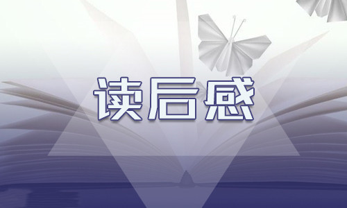 高中生红楼梦读书心得体会700字