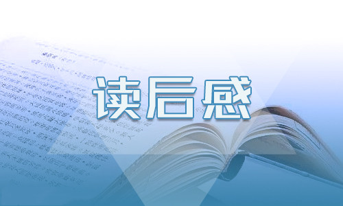 读追风筝的人的心得体会800字