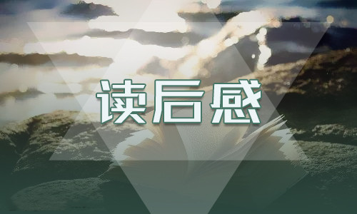 红楼梦900字读书心得范文